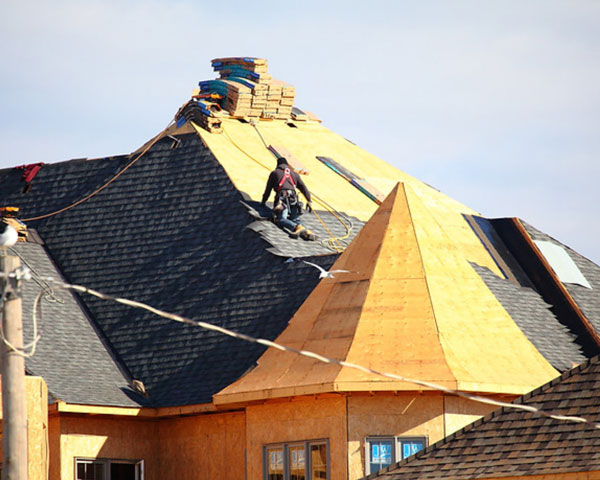 Professional Roofing Installation